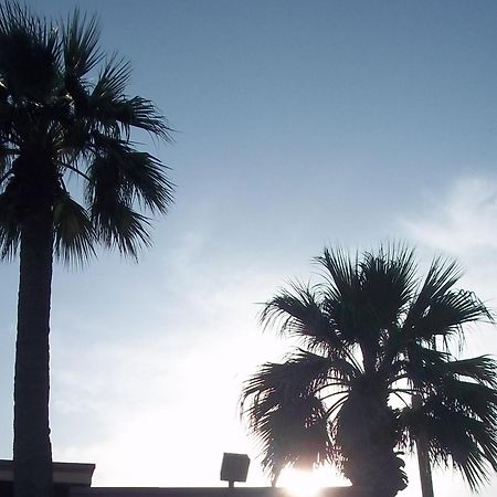 Whispering Palms Inn Del Rio Exterior photo